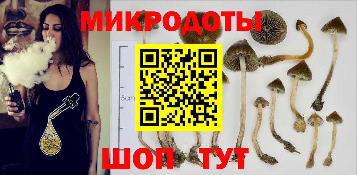 Псилоцибиновые грибы MAGIC MUSHROOMS  Вход с VPN  Галлюциногенные грибы Cubensis  Феодосия 